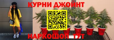 jwh Кингисепп