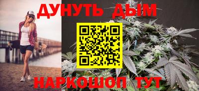 jwh Кингисепп