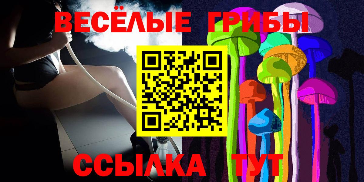 Галлюциногенные грибы GOLDEN TEACHER  Псилоцибиновые грибы MAGIC MUSHROOMS  Вход с VPN  где купить наркоту  Улан-Удэ 